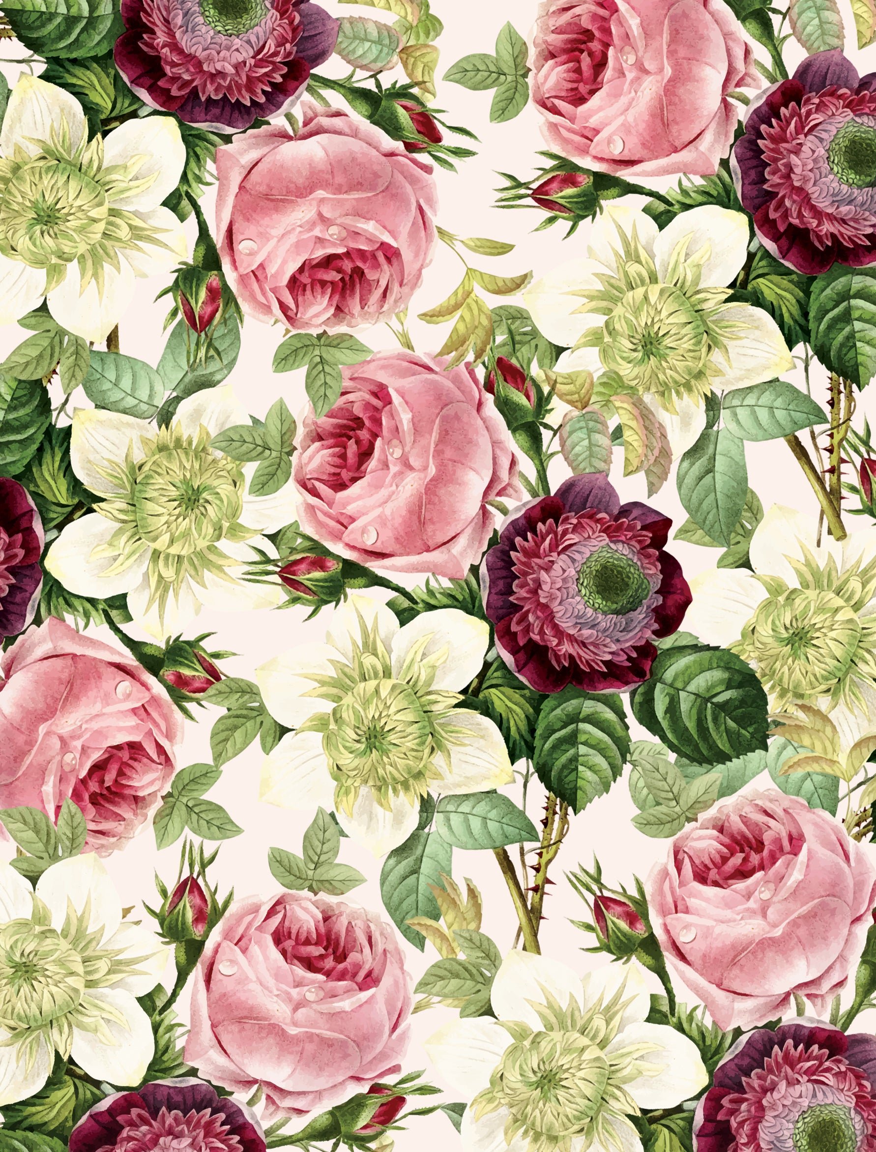 Stella Debut Invitation