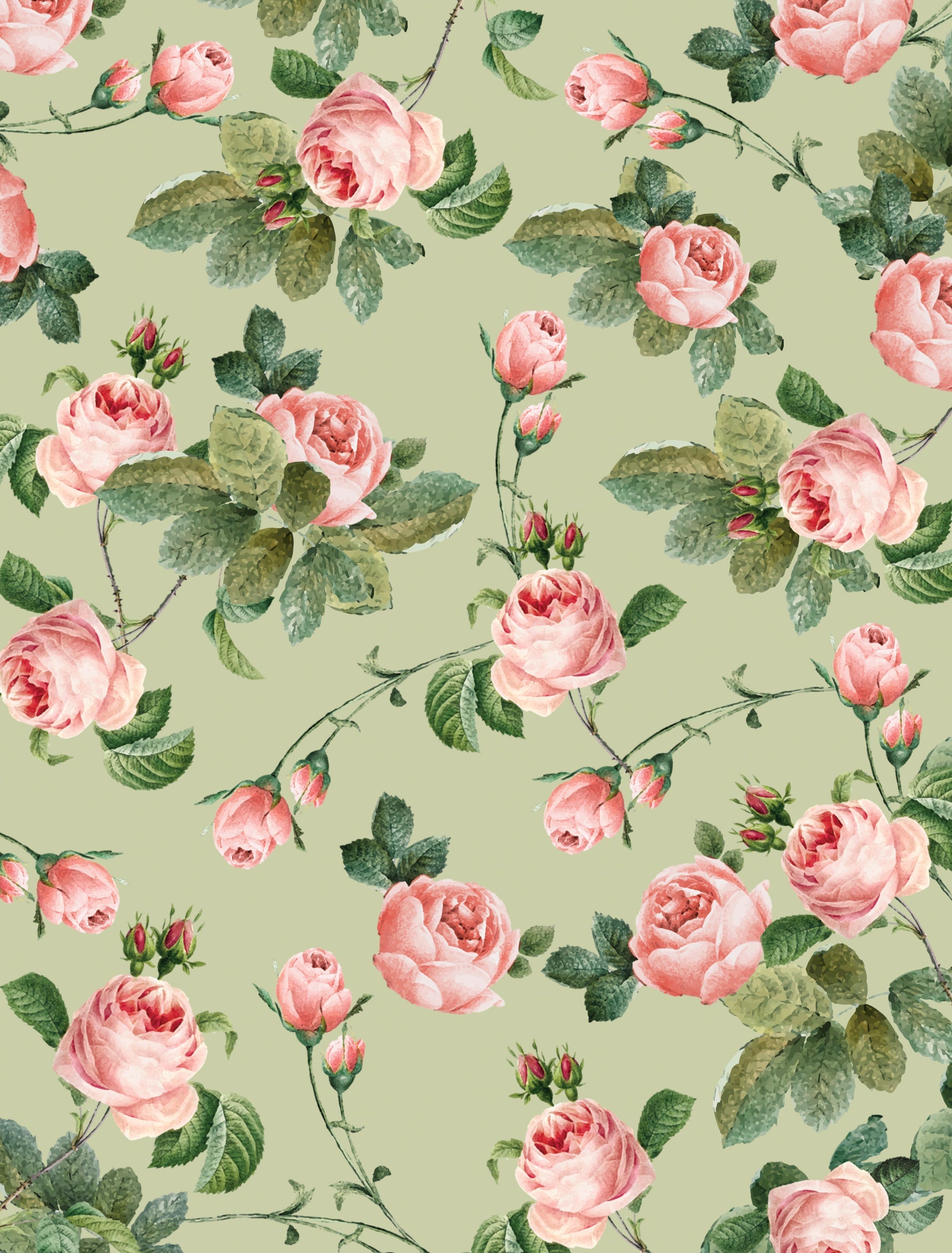 Lauren Debut E-Invite