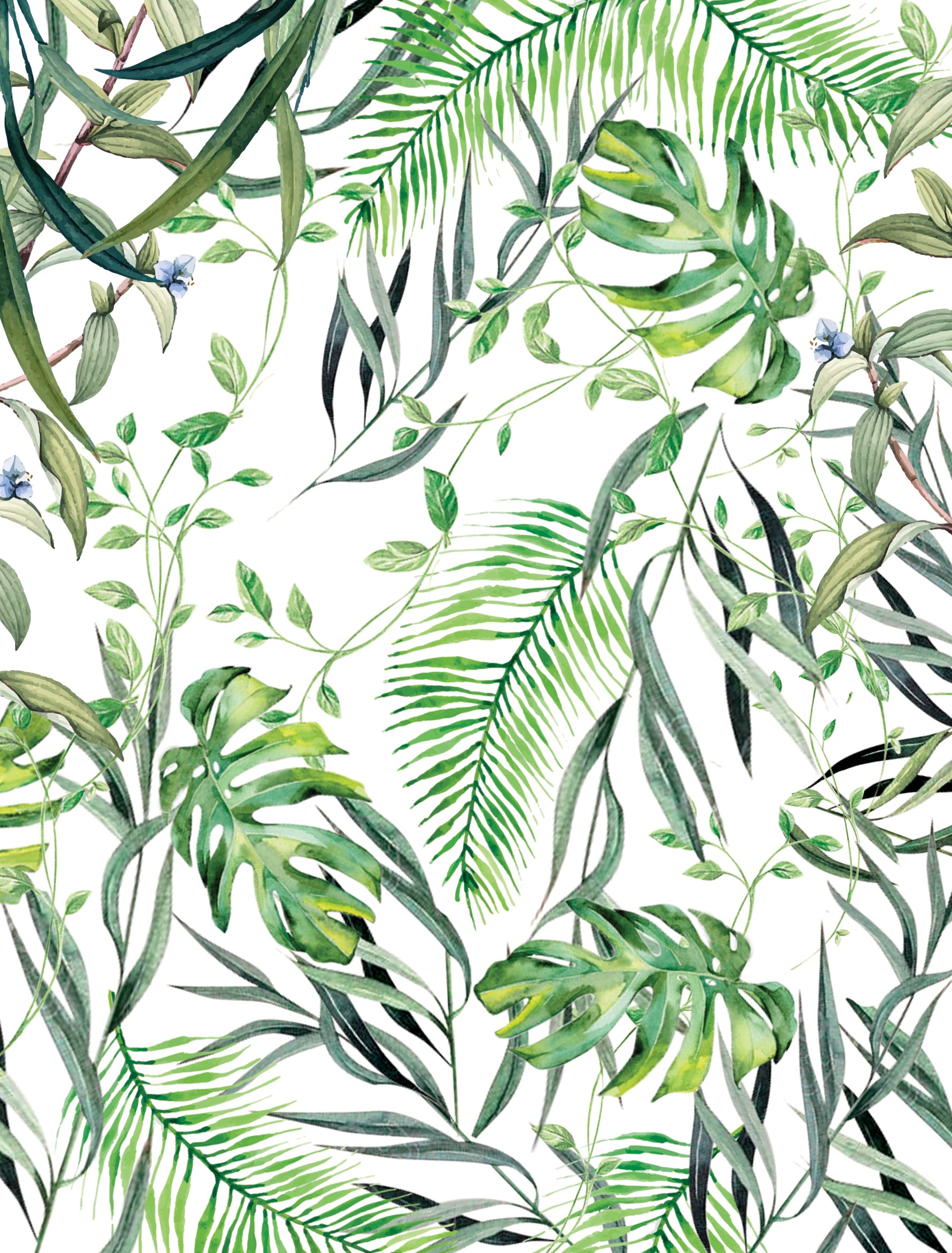 Melissa Debut Invitation