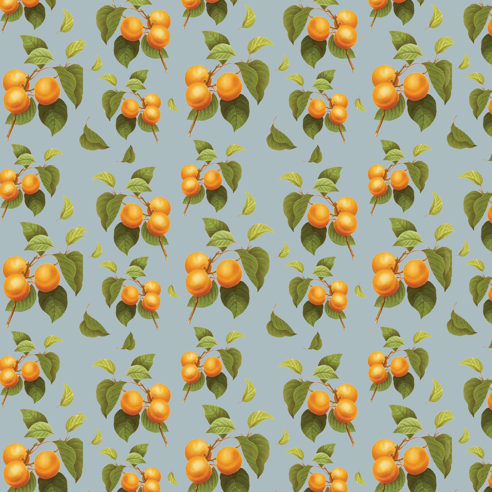 Erin Debut Invitation