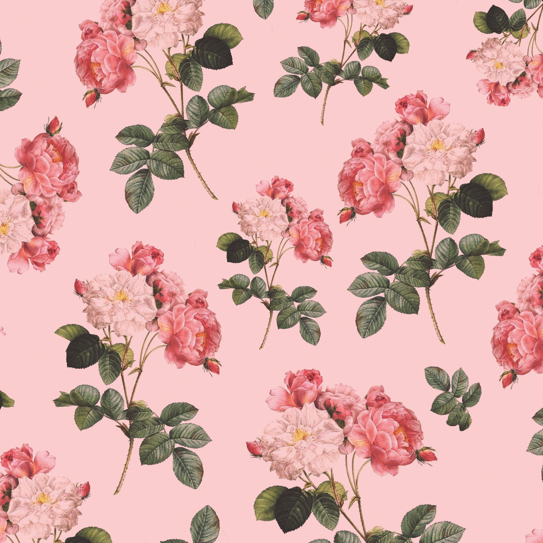 Mira Debut Invitation