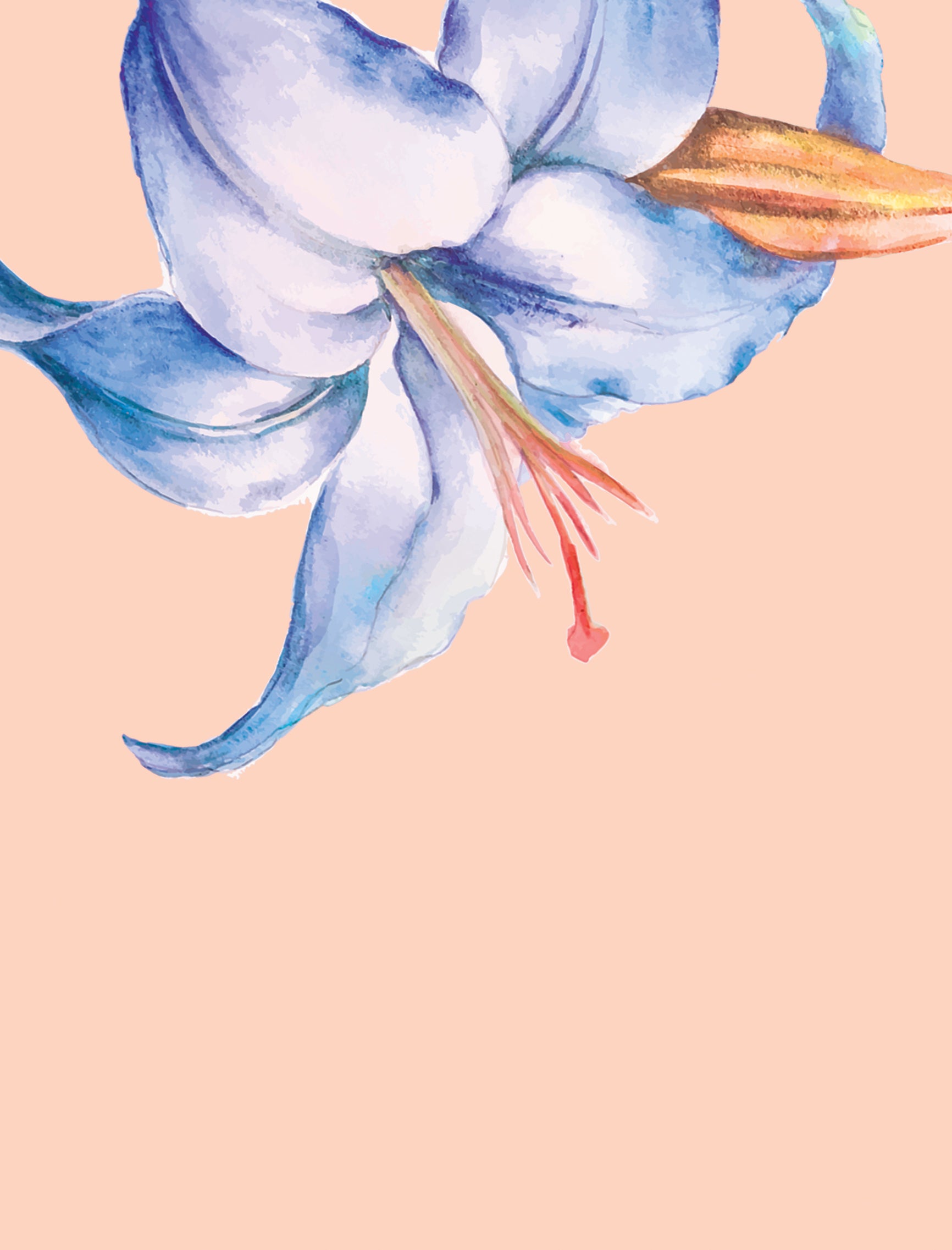 Hannah Debut Invitation