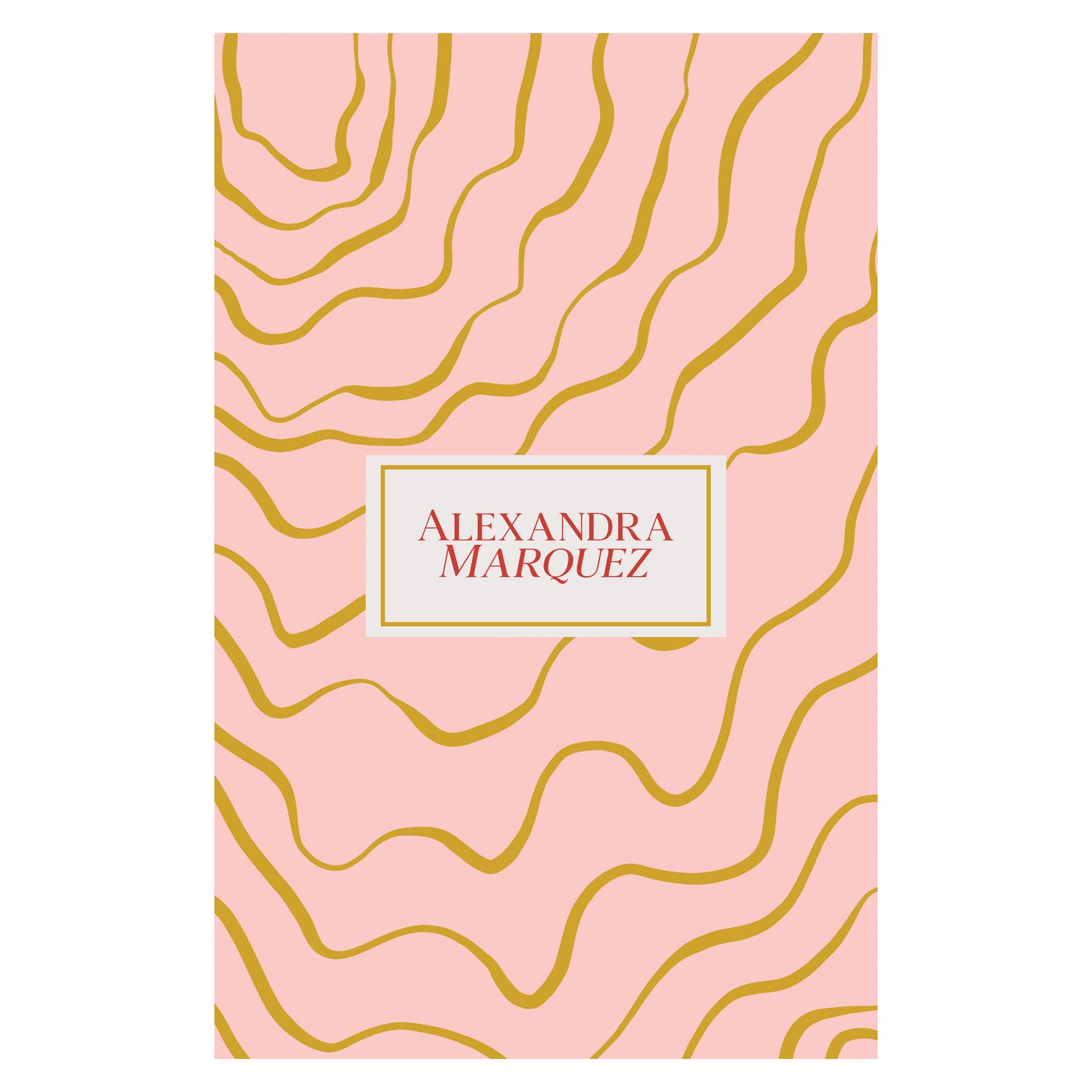 Spring Notebook - 117