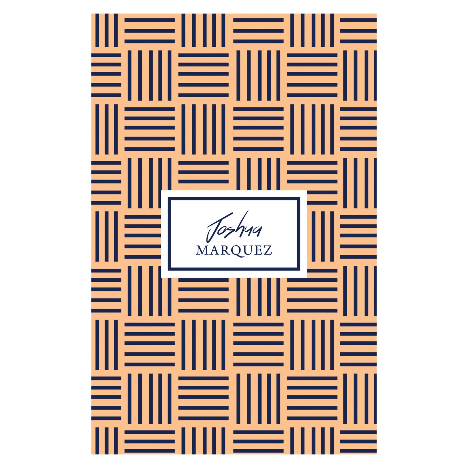 Spring Notebook - 67