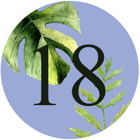 Donna Debut Invitation