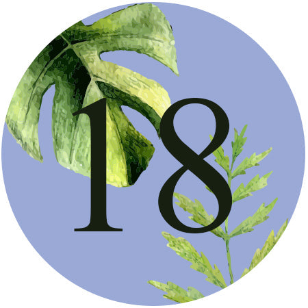 Donna Debut E-Invite