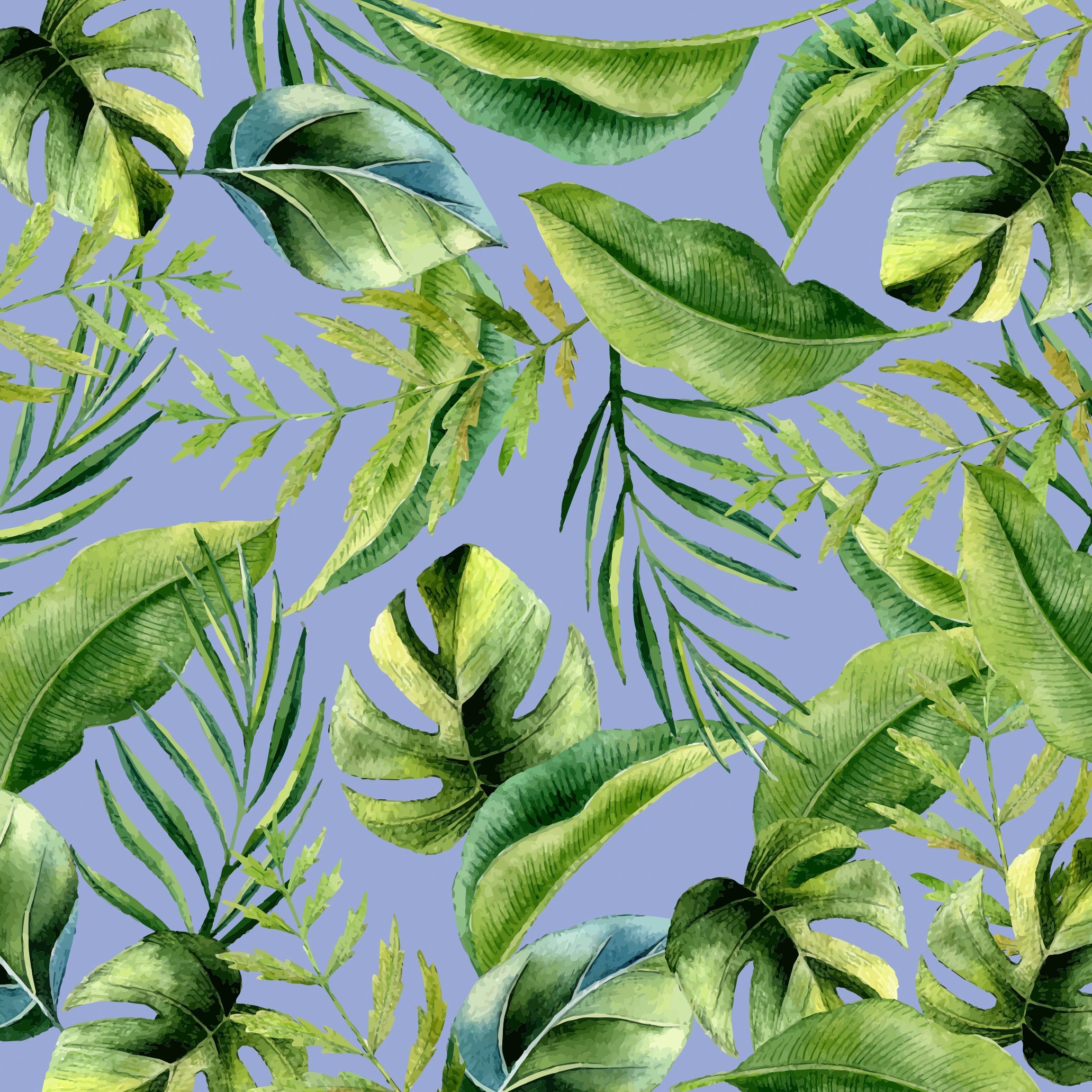 Donna Debut E-Invite