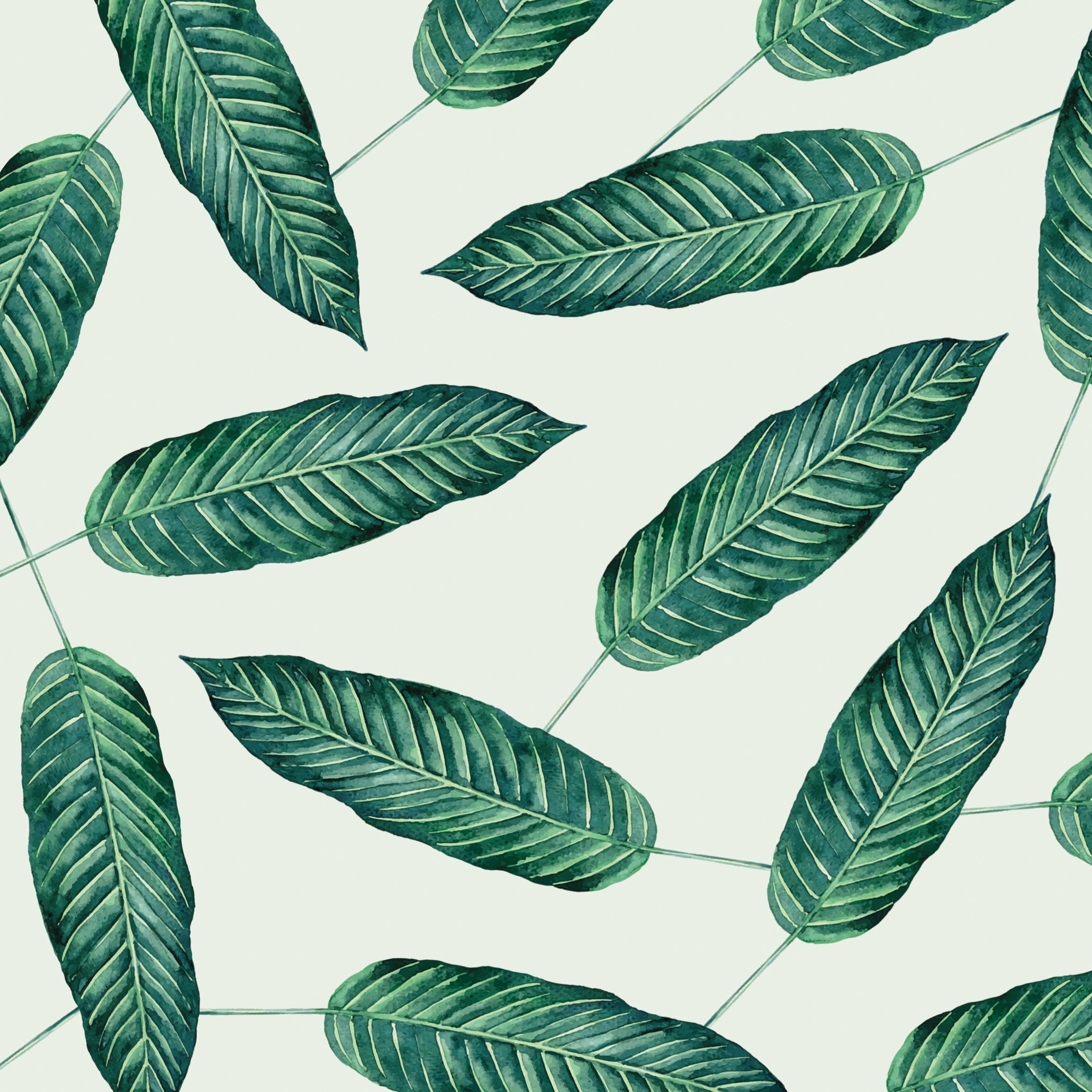 Abigail Debut E-Invite