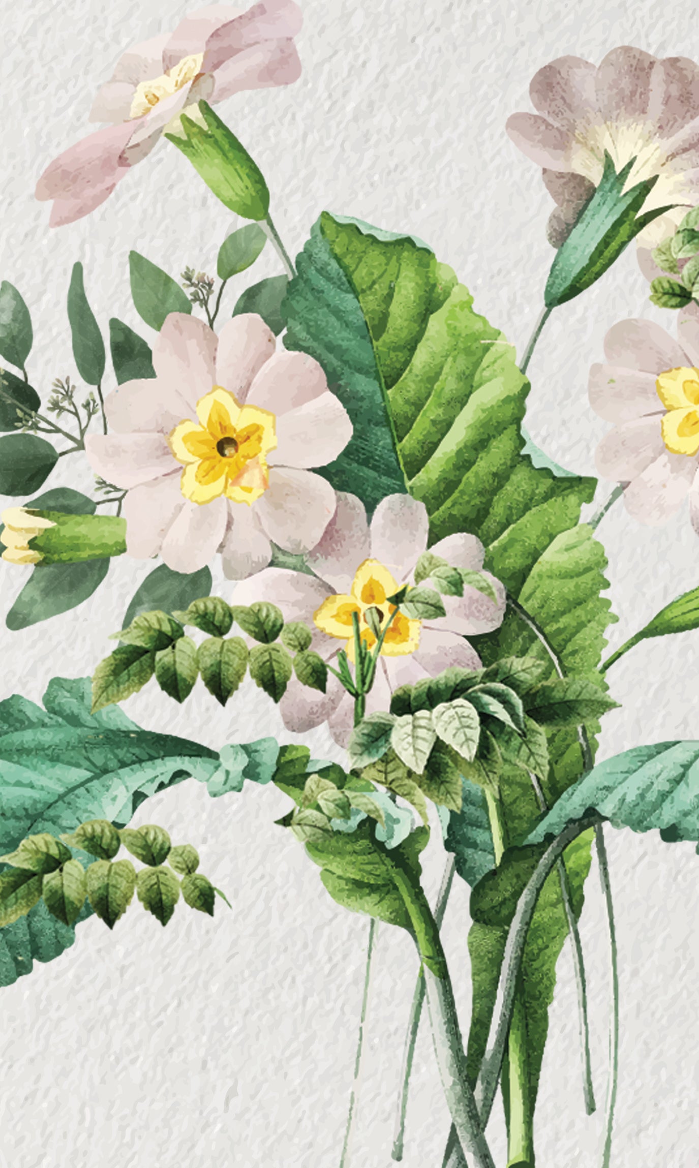 Stephanie Debut Invitation