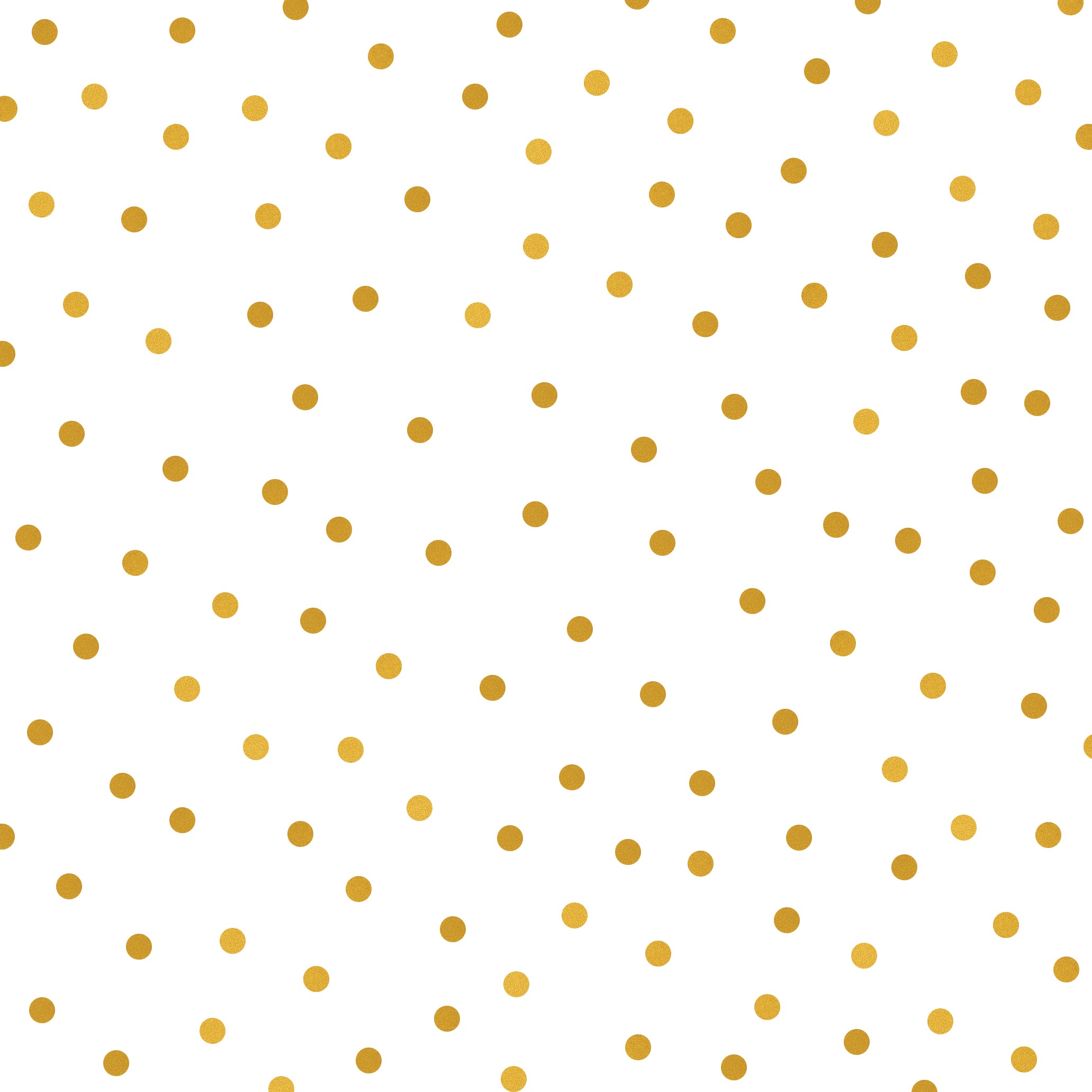 Ysabella Debut Invitation