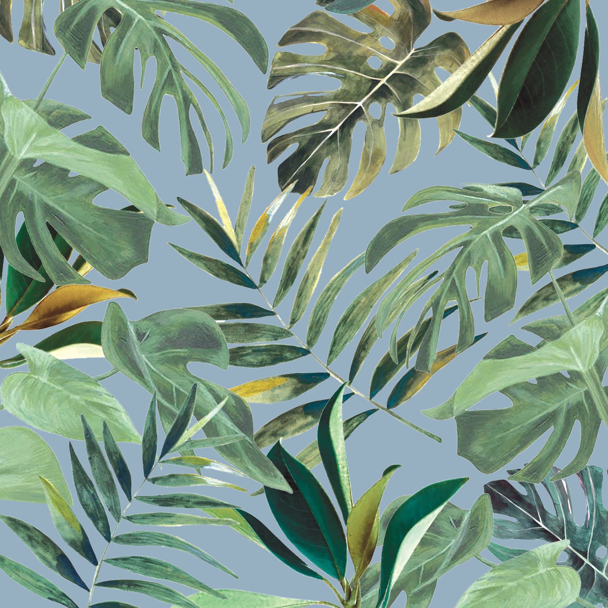 Cassandra Debut E-Invite