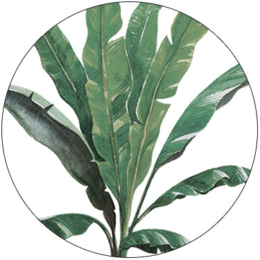 Julianne Debut Invitation