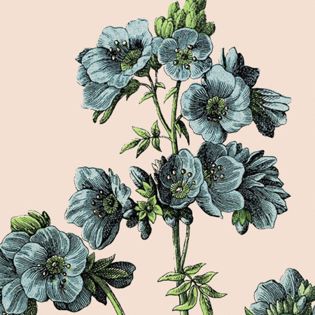 Jasmine Wedding Invitation