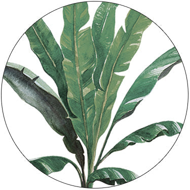 Julianne Debut E-Invite