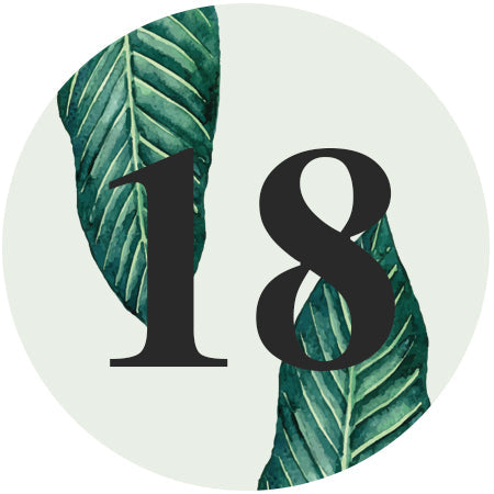 Abigail Debut E-Invite