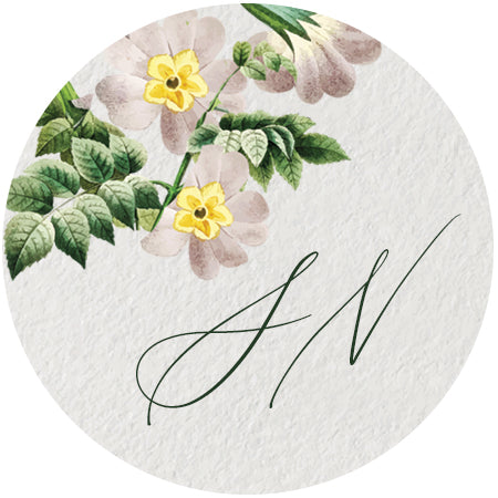 Stephanie Debut Invitation