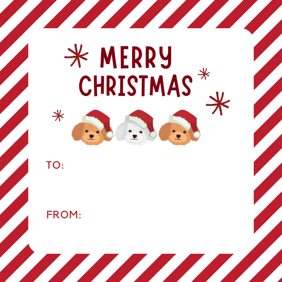 Christmas Gift Cards 125