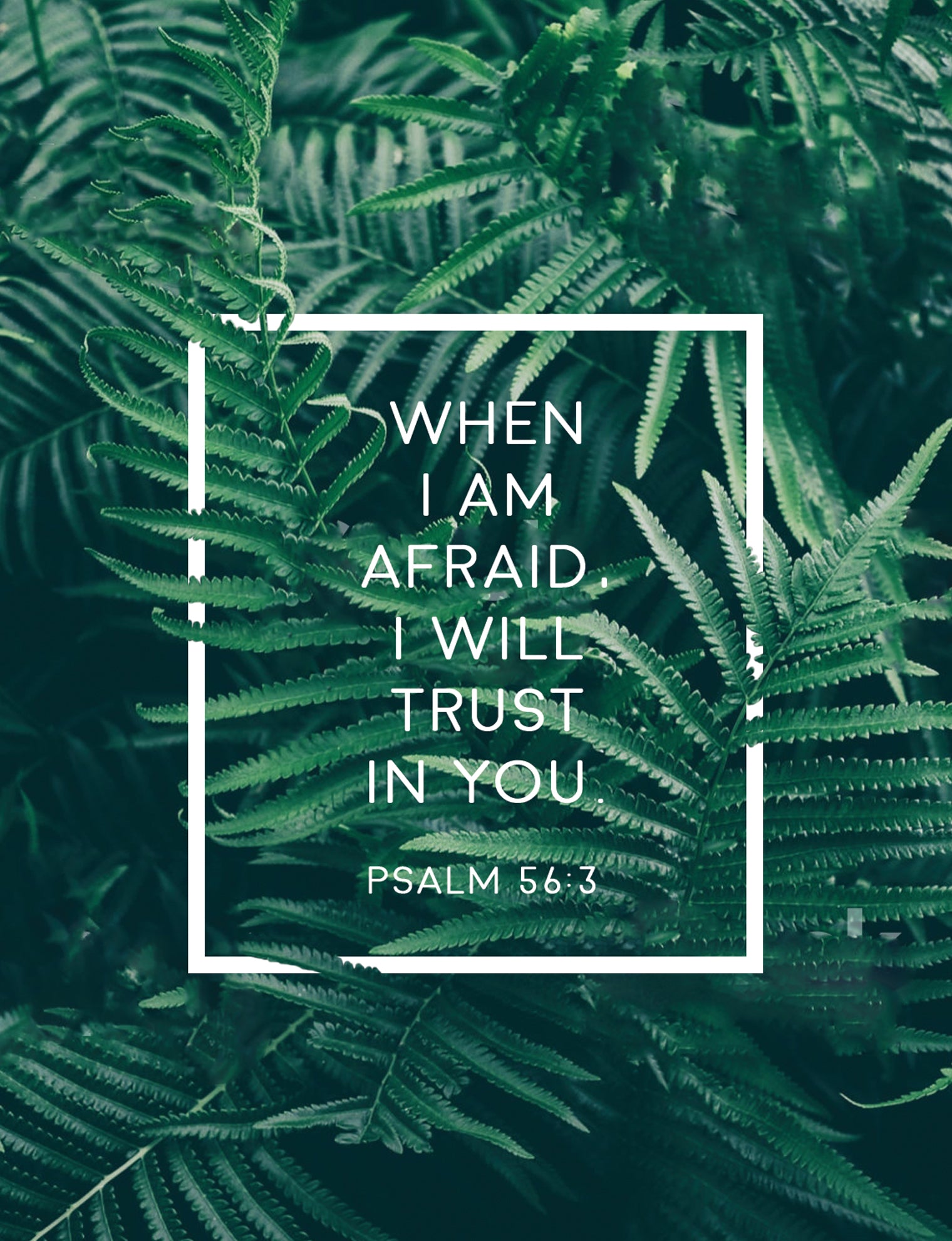 Psalm 56:3 Faith Card